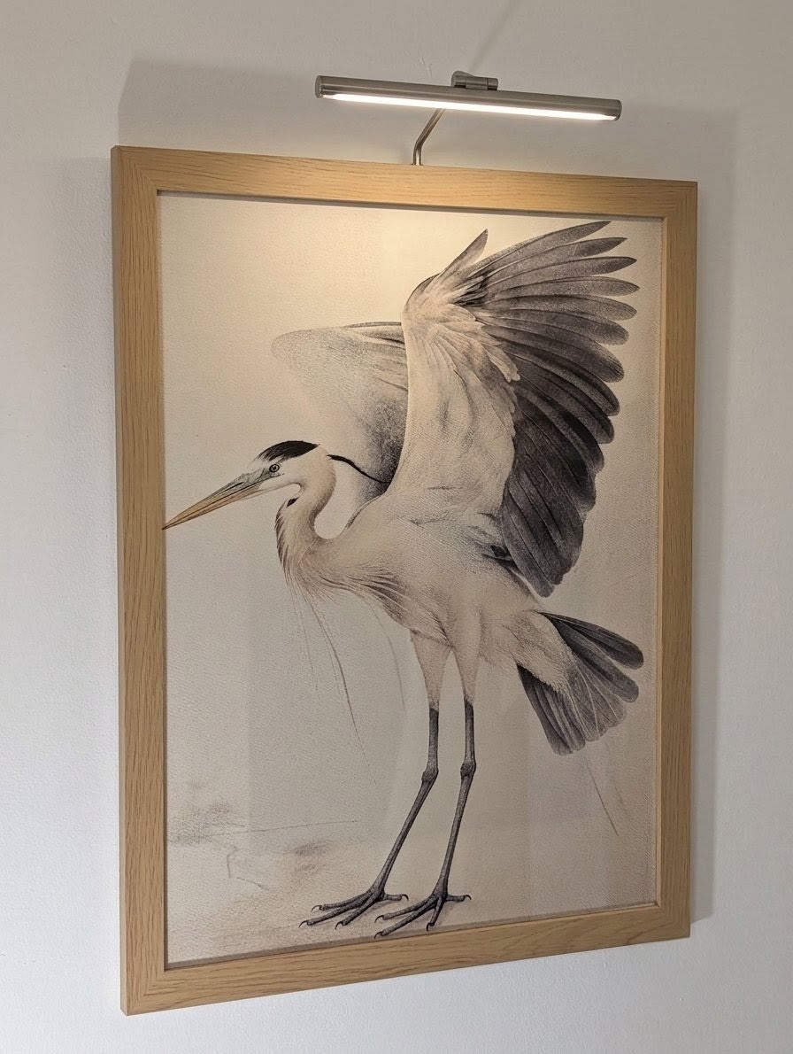 Heron's Dance Set