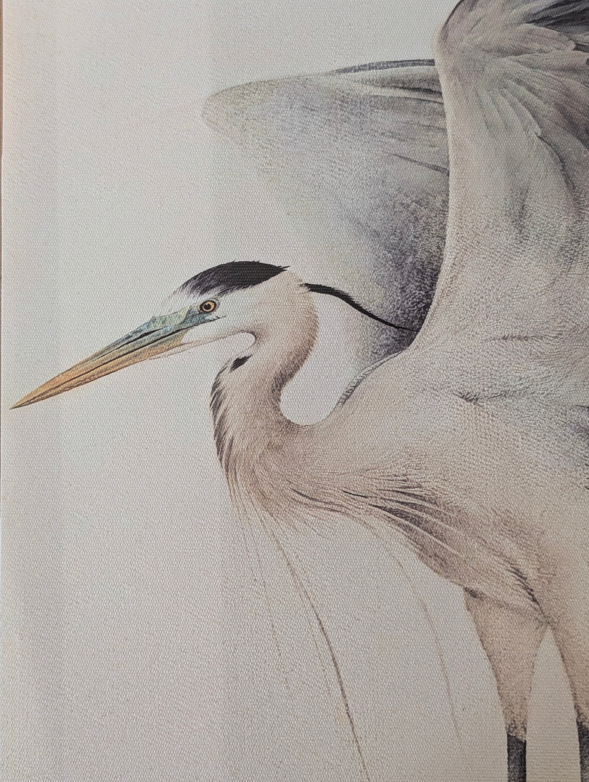 Heron's Dance Set