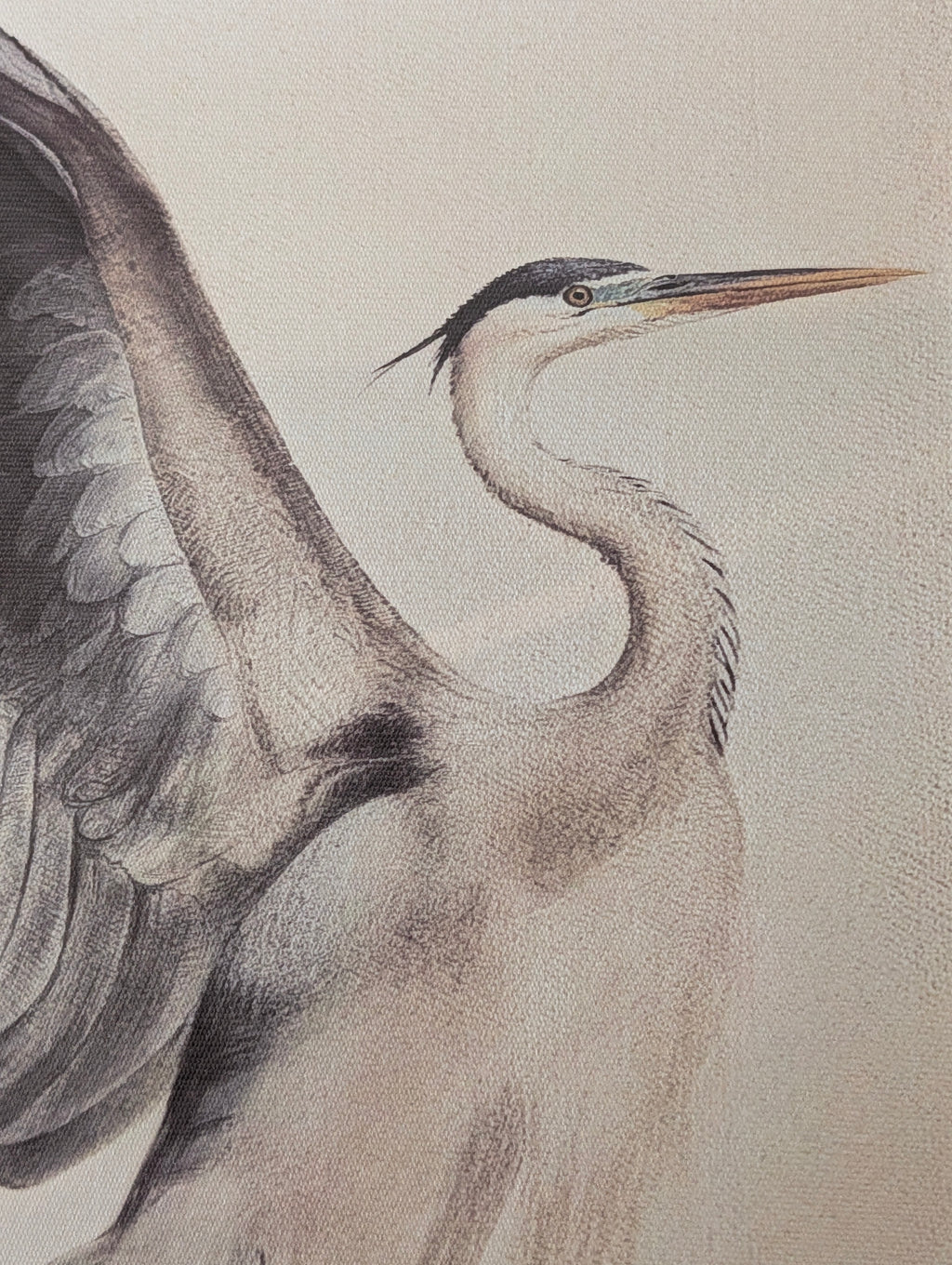 Heron's Dance Set
