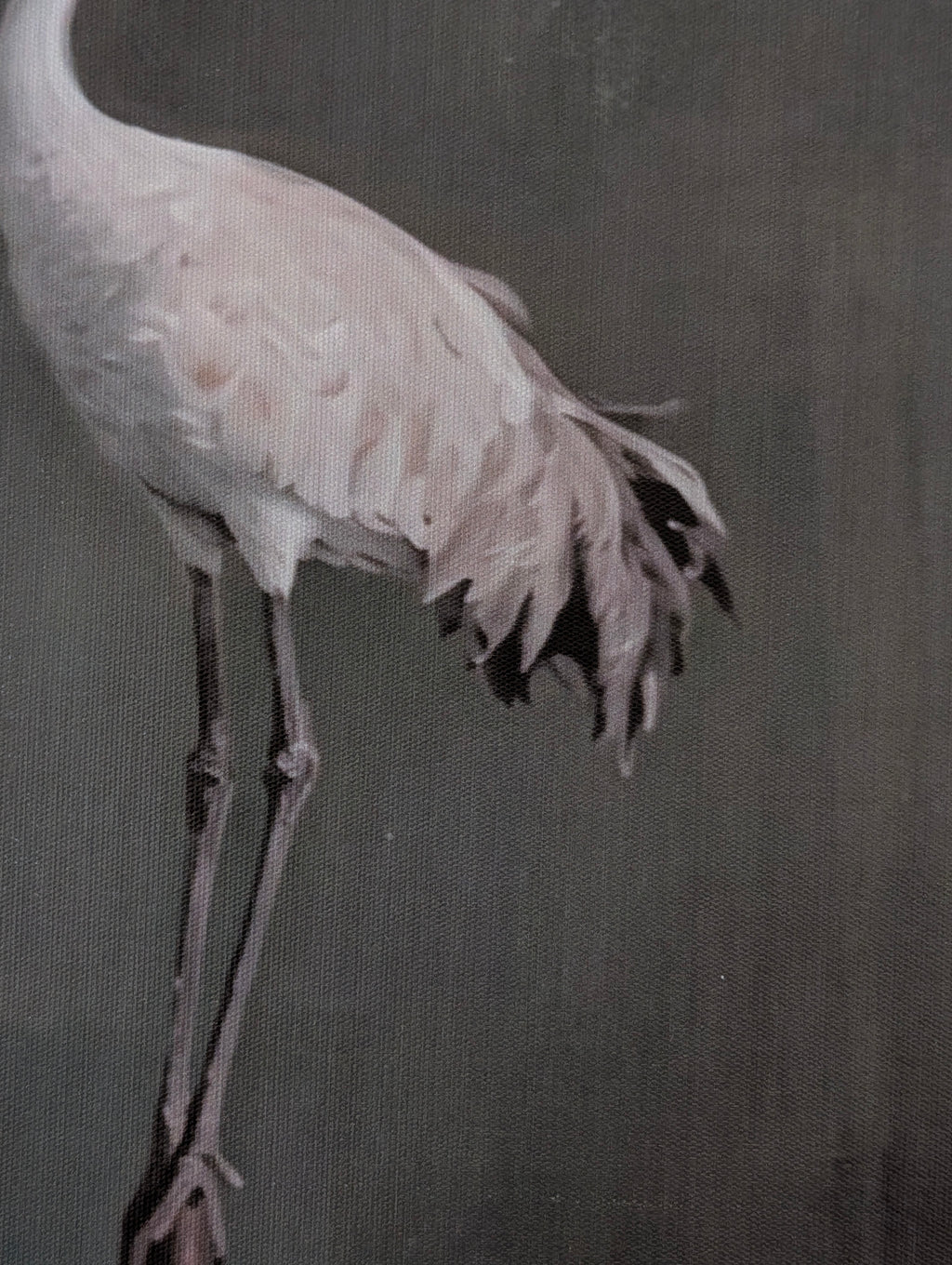 Elegant Crane Duo