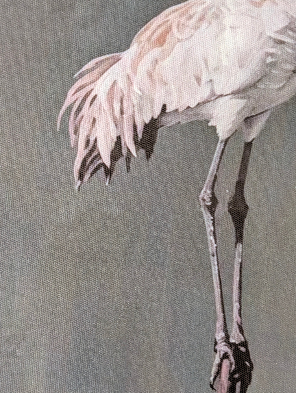 Elegant Crane Duo