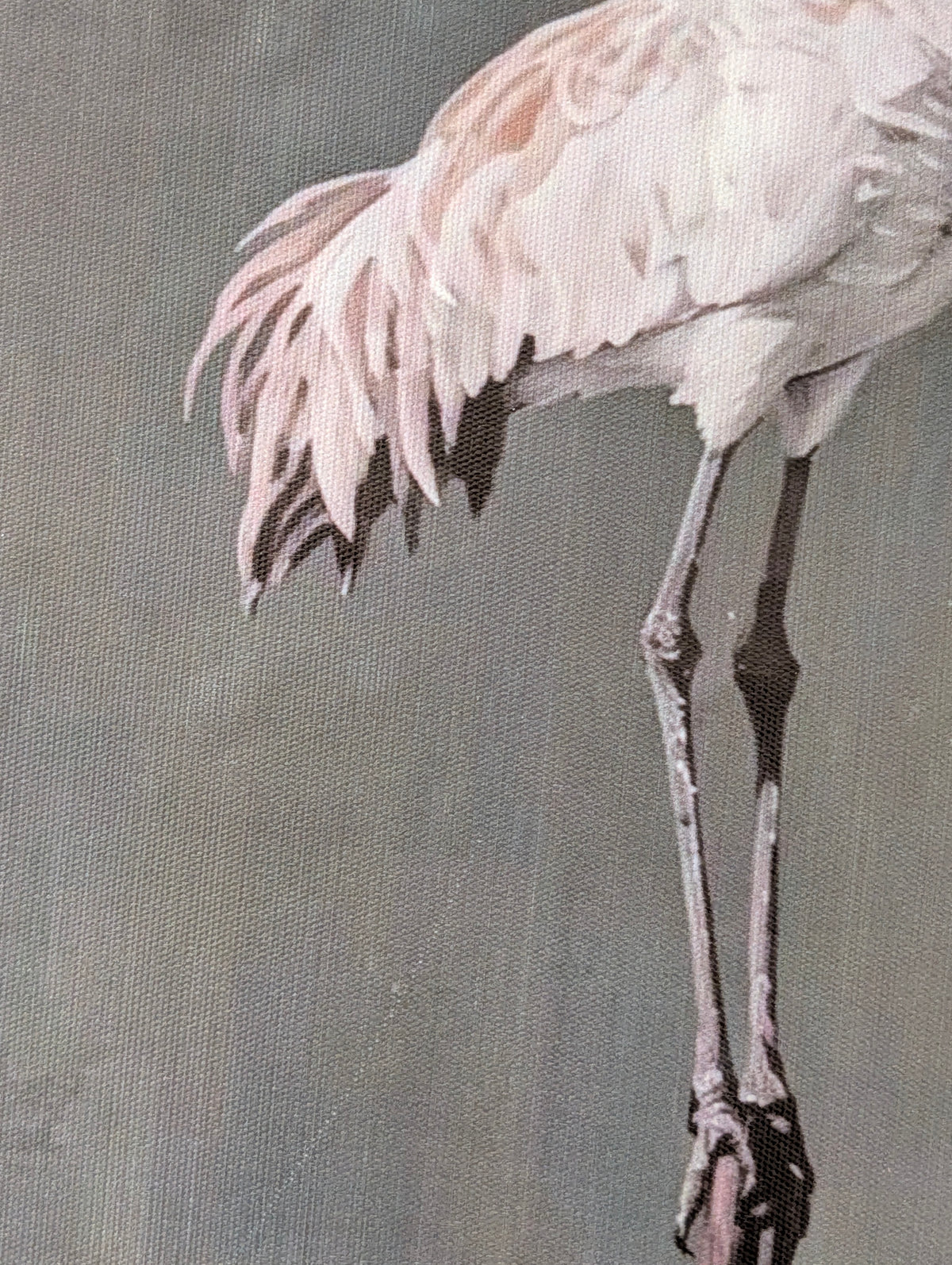 Elegant Crane Duo